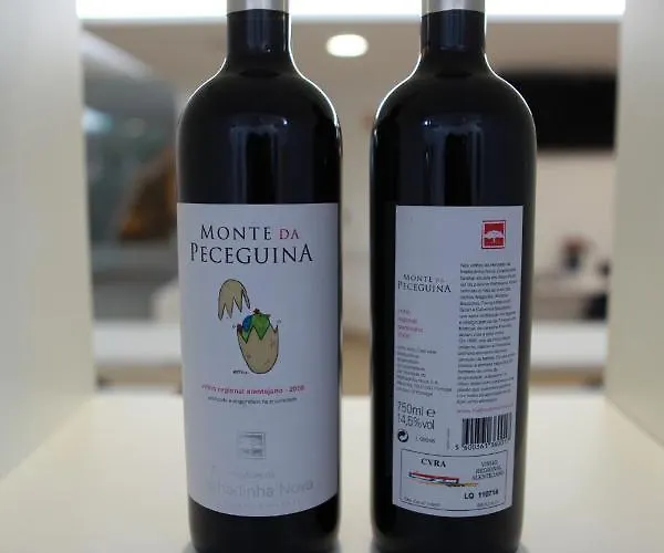 Otel Anjo De Portugal